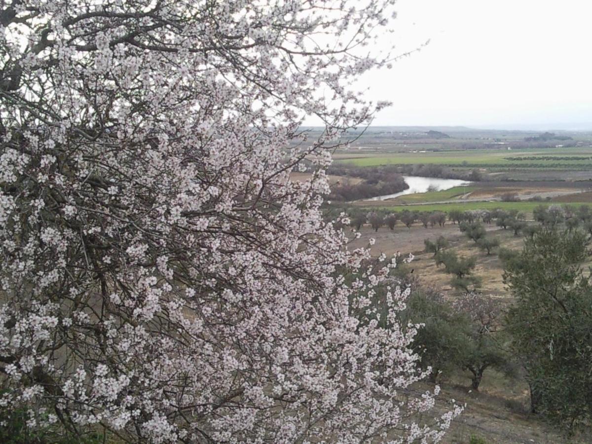 Posada La Reja Malpica de Tajo Екстериор снимка