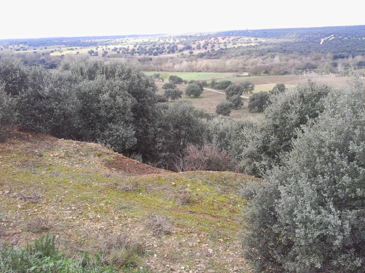 Posada La Reja Malpica de Tajo Екстериор снимка