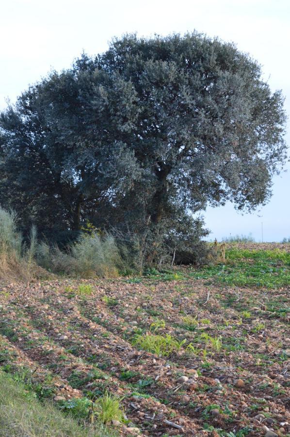 Posada La Reja Malpica de Tajo Екстериор снимка